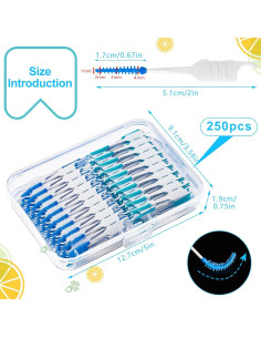 250 Palillos de Hilo Dental Lanjue Azul y Verde con Estuche 2