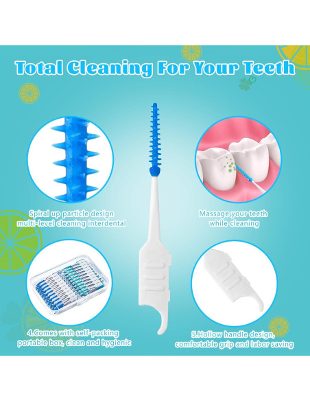 250 Palillos de Hilo Dental Lanjue Azul y Verde con Estuche