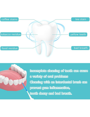 250 Palillos de Hilo Dental Lanjue Azul y Verde con Estuche