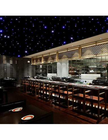 Telón LED 3m x 6m WUPYI Cielo Estrellado Azul y Blanco DMX