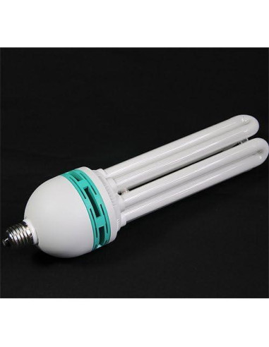 Kit de Iluminación Fancierstudio FKZ04 con 3 Fondos 10x6m