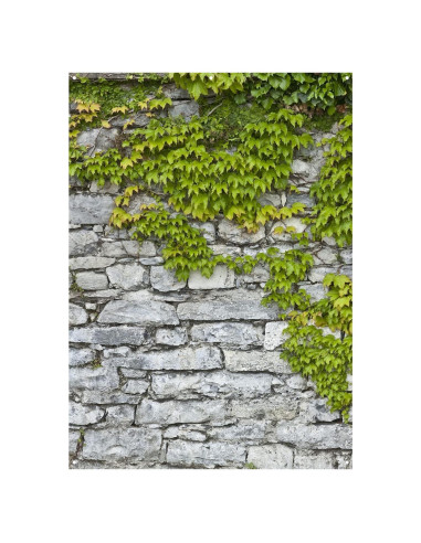 Fondo de fotografía lona ligera Westcott X-Drop 1.52x2.13m