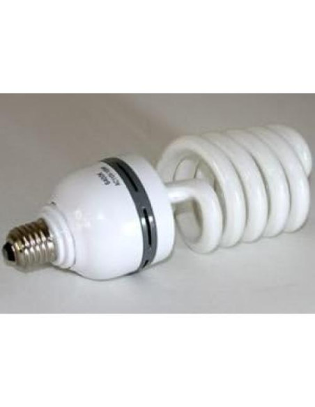 Kit de Pantalla Verde Chroma Key 10x24ft ePhoto + Iluminación