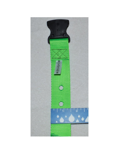 CollarSafe Collar para Perro Grande 1.5" Azul Diseño