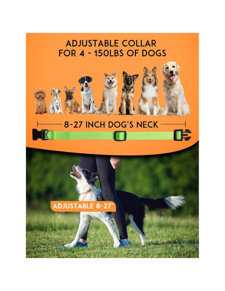 Collar Ajustable PaiPaitek para Perros - Nylon Duradero 1.9 cm