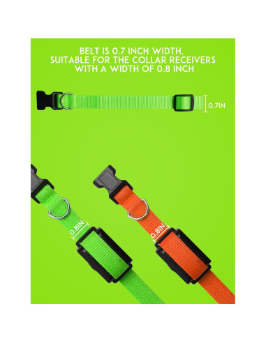 Collar Ajustable PaiPaitek para Perros - Nylon Duradero 1.9 cm