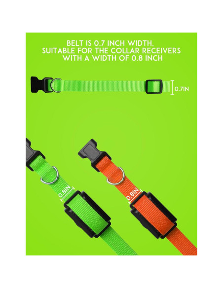 Collar Ajustable PaiPaitek para Perros - Nylon Duradero 1.9 cm