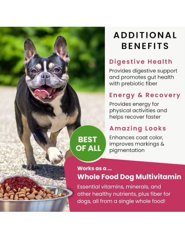 Olewo Remolachas Rojas para Perros 0.45 kg - Suplemento Nutricional