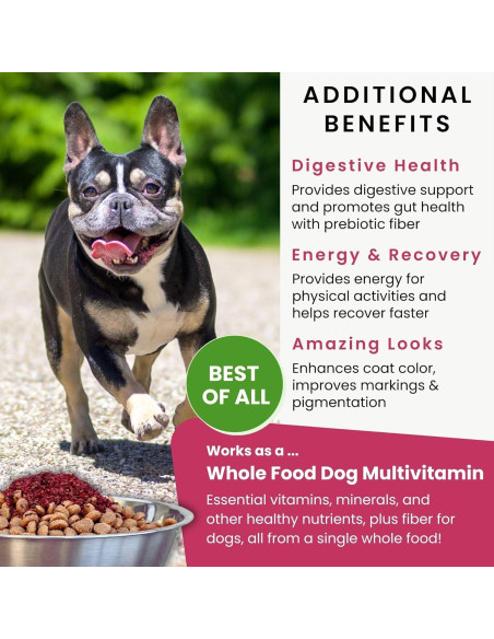 Olewo Remolachas Rojas para Perros 0.45 kg - Suplemento Nutricional