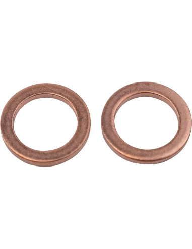 Juego de Mangueras de Freno TRQ Rendimiento 2 Piezas Acero Inoxidable