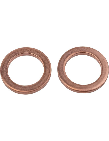 Juego de Mangueras de Freno TRQ Rendimiento 2 Piezas Acero Inoxidable