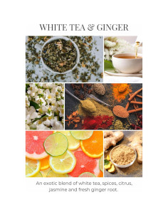 Spray Aromático Eco Candle Co. Té Blanco y Jengibre 226.8 ml 2