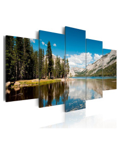 Lienzo Acústico Artgeist 80x40 cm 5 Piezas Naturaleza