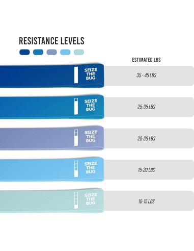 Set de 5 Bandas de Resistencia Loop Seize the Bug - Fitness y Terapia