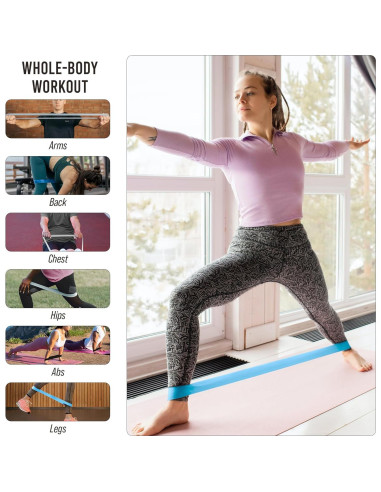 Set de 5 Bandas de Resistencia Loop Seize the Bug - Fitness y Terapia