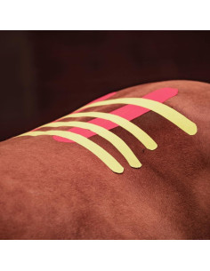 Cinta de Kinesiología Veterinaria Tmax 6 cm x 5 m Beige 2