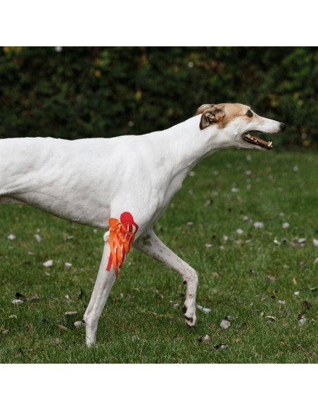 Cinta de Kinesiología Veterinaria Tmax 6 cm x 5 m Beige