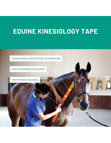 Cinta de Kinesiología Veterinaria Tmax 6 cm x 5 m Beige