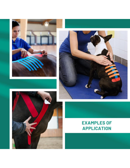 Cinta de Kinesiología Veterinaria Tmax 6 cm x 5 m Beige