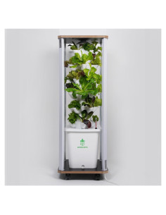 Sistema Hidropónico Vertical DPROOTS T6 para 30 Plantas