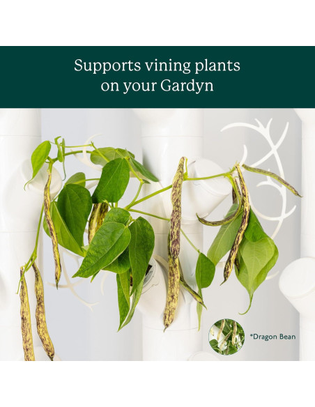 Accesorio Hidropónico Gardyn Trellis - Paquete de 5 Soportes