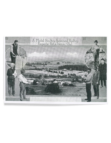 Impresión Artística Lantern Press 20x30 cm Ecológica