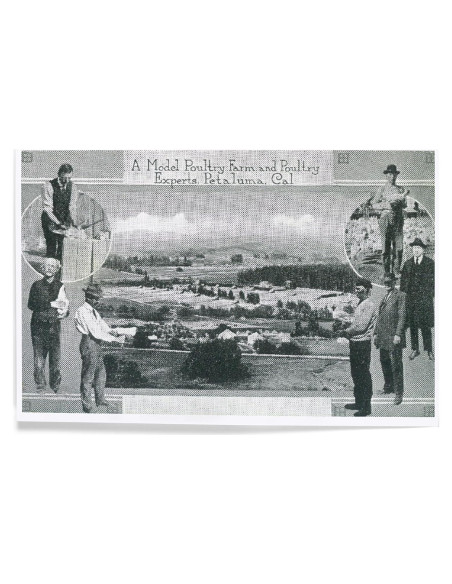 Impresión Artística Lantern Press 20x30 cm Ecológica