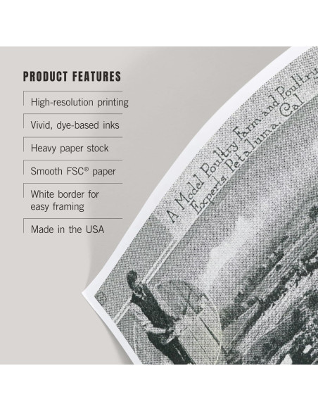 Impresión Artística Lantern Press 20x30 cm Ecológica