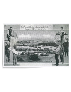 Impresión Artística Lantern Press 30x45 cm Aves Petaluma