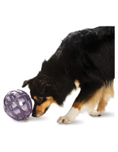 Juguete Dispensador de Comida PetSafe Kibble Nibble Mediano/Grande