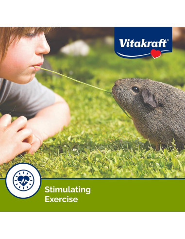 Vitakraft Crunch Sticks para Cobayas - Frutos Silvestres y Miel