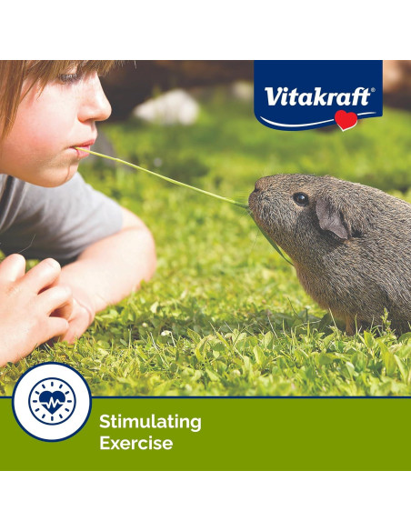Vitakraft Crunch Sticks para Cobayas - Frutos Silvestres y Miel Vitakraft Crunch Sticks para Cobayas - Frutos Silvestres y Miel
