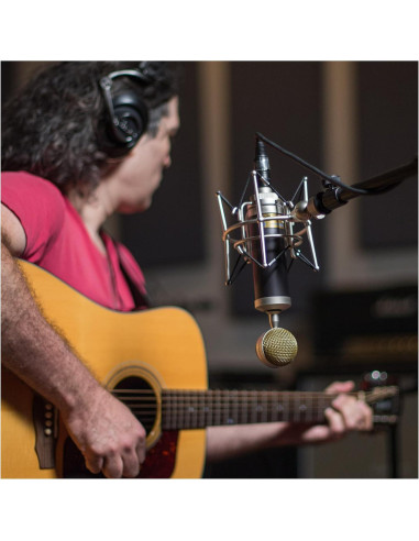 Micrófono de Condensador Cardioide Blue Baby Bottle SL