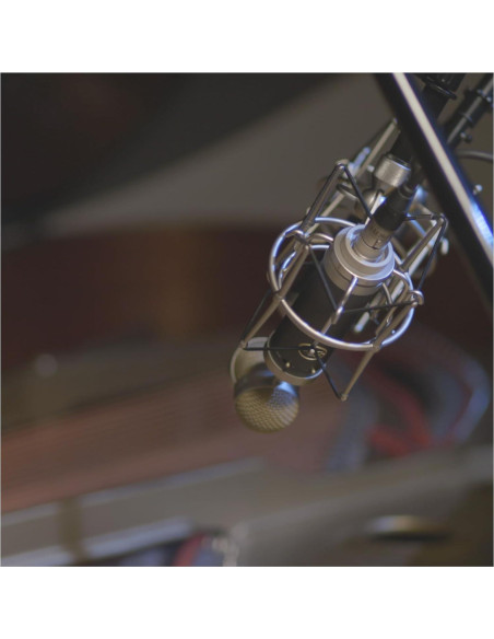 Micrófono de Condensador Cardioide Blue Baby Bottle SL