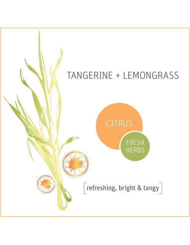 Desengrasante de Cocina Natural Grab Green 3x16oz Mandarina