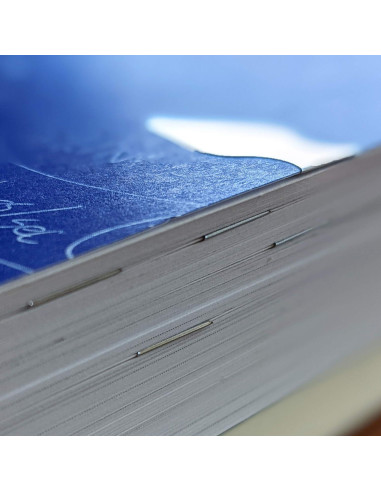 Dardos de Libro Stellar Factory - 50 Marcadores de Acero Inoxidable