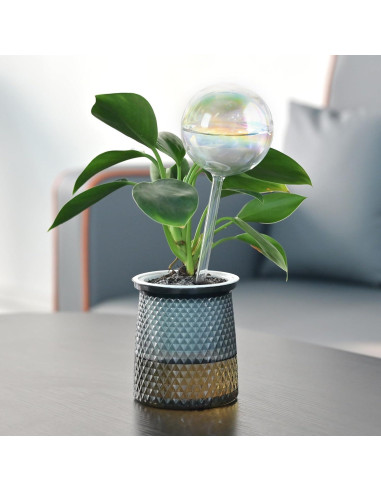 Esferas de Riego Automático de Vidrio 368g - Paquete de 4