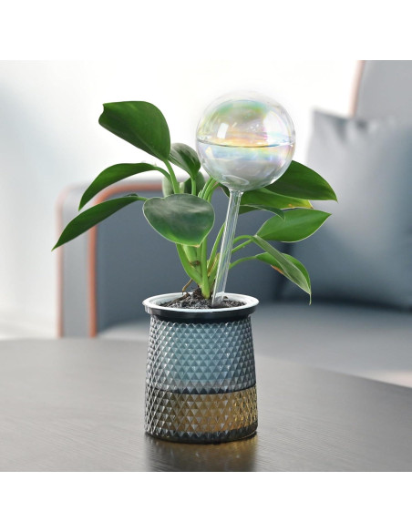 Esferas de Riego Automático de Vidrio 368g - Paquete de 4