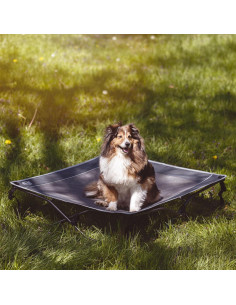 Cama Elevada para Perros Westfield 93x93cm Malla Transpirable 2