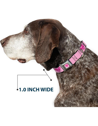 Collar de Perro Buckle-Down Superman Rosa 2.5cm Ancho 23-38cm