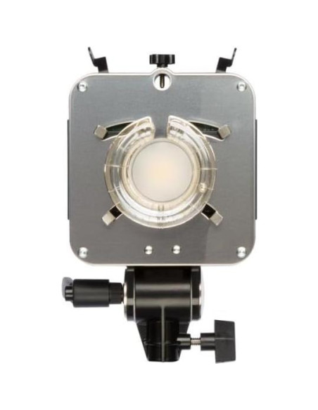 Flash Strobe Paul C. Buff DigiBee DB400 160 Ws LED Negro