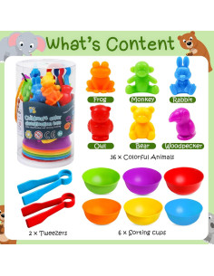 Juguetes de Clasificación de Colores NAODONGLI para Niños 3-6 Años 2