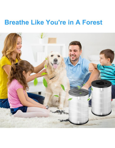 Filtro de Reemplazo HEPA AP-T40FL Homedics 5 en 1 - 2 Paquetes