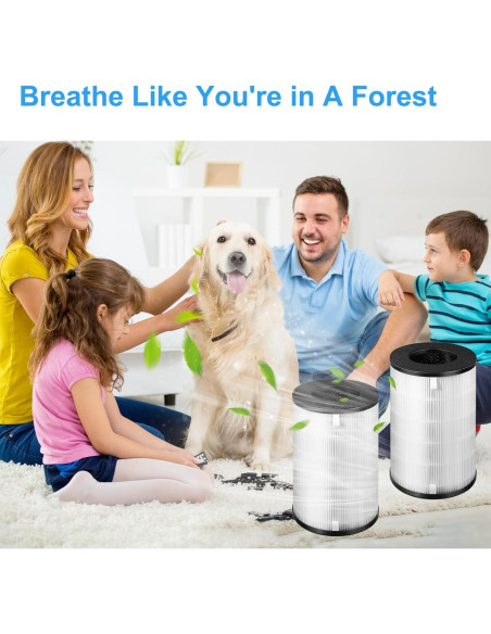 Filtro de Reemplazo HEPA AP-T40FL Homedics 5 en 1 - 2 Paquetes