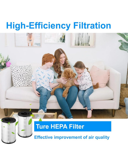 Filtro de Reemplazo HEPA AP-T40FL Homedics 5 en 1 - 2 Paquetes