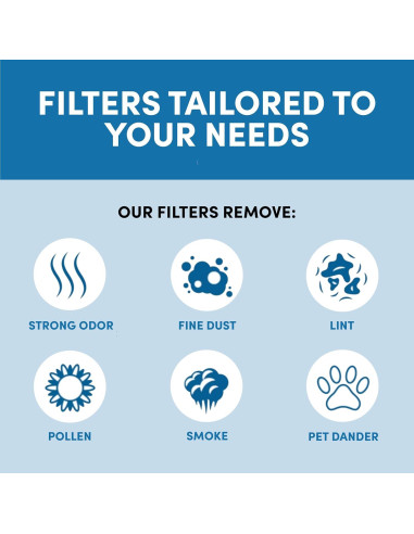 Conjunto de 6 Filtros HEPA VEVA para Aspiradoras Bissell 1866