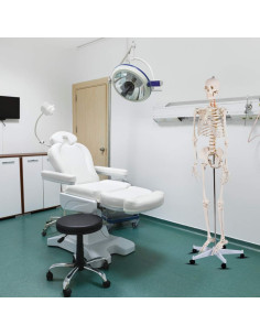 Esqueleto Humano Natural Giantex 180 cm con Soporte Rodante 2
