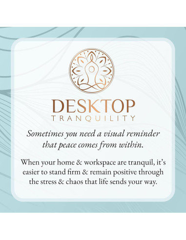 Kit Jardín Zen Japonés Mini Desktop Tranquilidad 14 cm