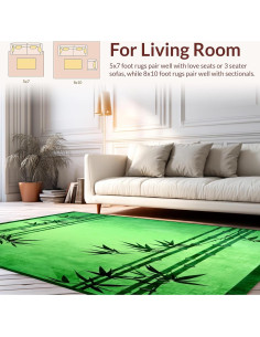 Alfombra de Área ODIKA 0.91x1.52m Antideslizante Lavable 2