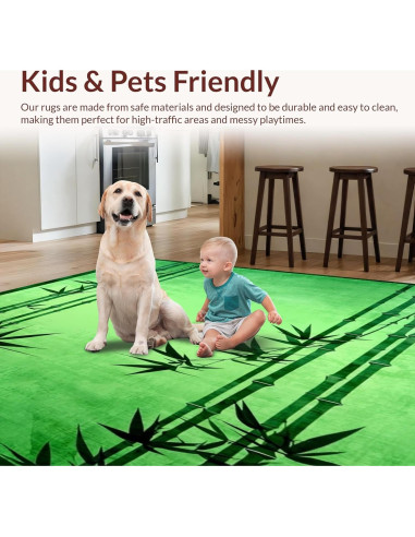 Alfombra de Área ODIKA 0.91x1.52m Antideslizante Lavable